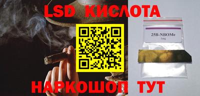 амф Новодвинск
