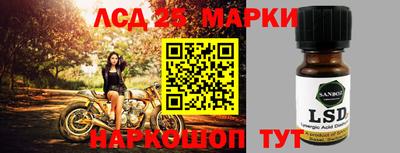 спиды Новозыбков