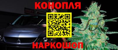 амф Новодвинск