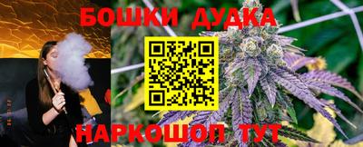спиды Новозыбков